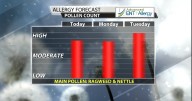 Pollen On The Rise