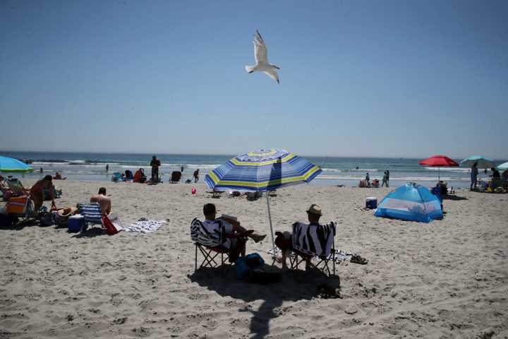 Popular North Shore beach closed amid reported shark sighting