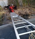Bomberos rescatan a tres perros atrapados en una balsa de riego en Caravaca de la Cruz