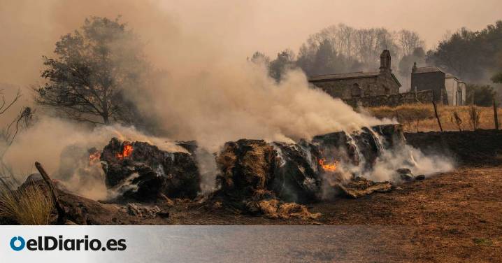 La desolación tras el paso de las llamas por Chandrexa, uno de los incendios más grandes de la historia de Galicia