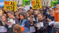 Discapacidad: la emotiva reacción de los manifestantes en Congreso tras el rechazo al veto en Diputados