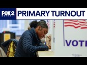 Michigan August primary turnout by the numbers