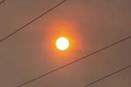 Largest wildfire continues to gain ground in eastern Newfoundland