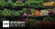 Weather and supply disruption among the reasons behind surge in vegetable prices