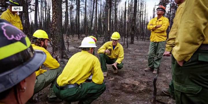 Dragon Bravo Fire soil survey signals forest recovery in northern Arizona
