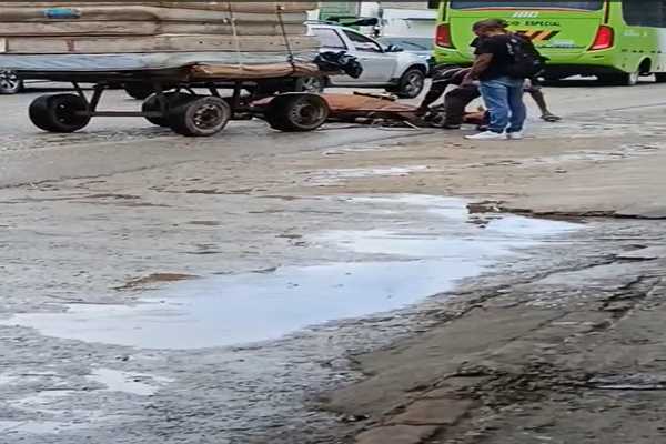 Denuncian caso de maltrato animal en Santa Marta