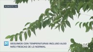 Previsión del tiempo