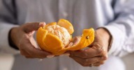 UK households urged to put orange peel around home to banish invaders