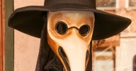 Experts send stark warning with case of 'human plague' reported