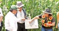 Buscan un plan para rescatar zona lacustre en Xochimilco y Tláhuac