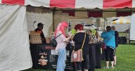 Jackson's Mill Jubilee and Jane Lew Fireman's Festival return to Lewis County (West Virginia)