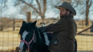 Paul Walter Hauser on ‘Americana’ and Not Fitting in Hollywood