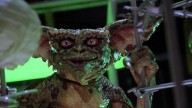 Gremlins 2: The New Batch Inspired The Funniest Possible Note From Steven Spielberg