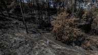 Galicia contiene la ola de incendios: solo permanecen activos dos grandes fuegos en Orense