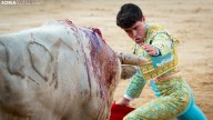 En fotos: otra tarde de luces en la centenaria plaza de toros de El Burgo