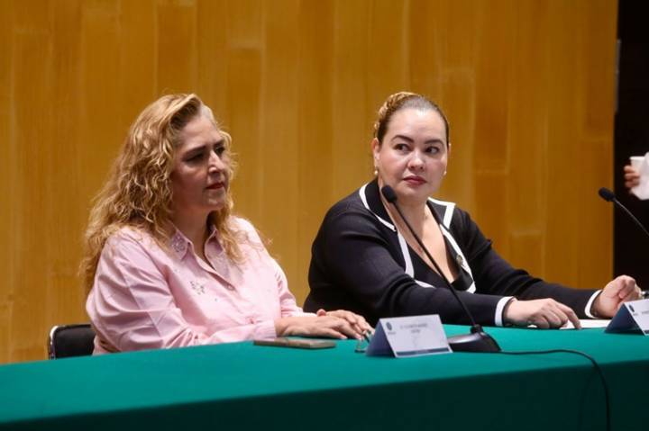 Gremio artístico merece representación legislativa