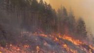 Mount Underwood wildfire deemed ‘being held’ by BC Wildfire Service