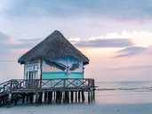 My experience on 'Survivor' made me want to live among nature. So I moved to Mexico.