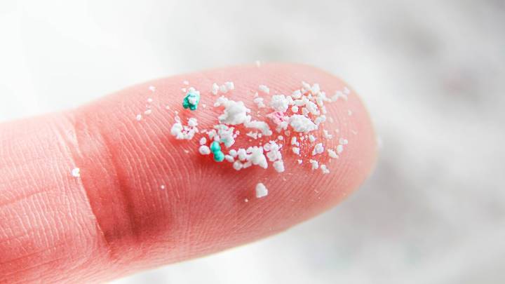 Microplásticos: investigadores anuncian nuevos hallazgos sobre sus riesgos en los bosques