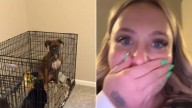Indiana Owner Shocked After Realizing Someone Else Was In The Crate With Her Dog