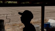 Some Florida farmers reduce crops as deportation fears drive workers away