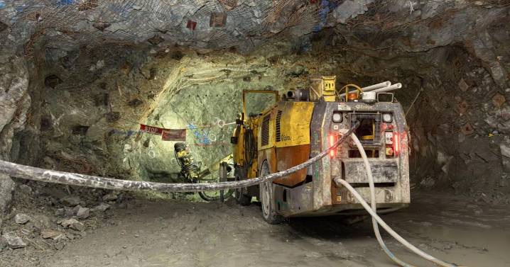 Montana delegation asks Trump to impose 50% tariffs on imports of Russian palladium