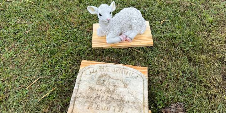 Restoring a 150 year old grave site at Mountain View Cemetery