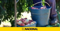 El temporero de Alcarràs murió por un fallo cardiorrespiratorio provocado por la ola de calor