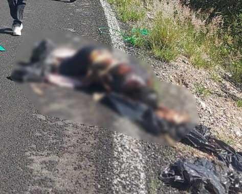 Encuentran cuerpo en estado de descomposición en la carretera Huajuapan
