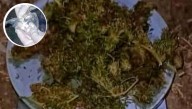 Villa de Merlo: incautan marihuana y cocaína en operativo de prevención