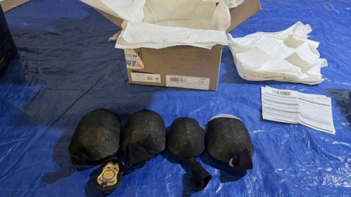 Man admits trying to smuggle 850 protected turtles valued at $1.4 million to Hong Kong