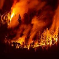 Massive fire burns on mountain near western Canada city