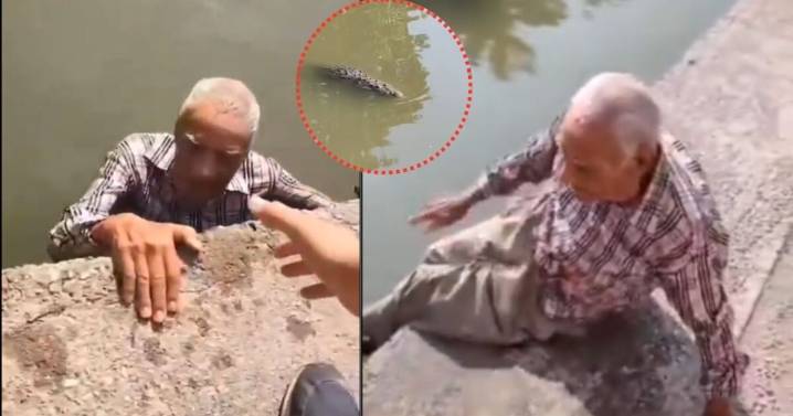 VIDEO: “Estoy nadando”: salvan adulto mayor del ataque de un cocodrilo en canal de Tampico