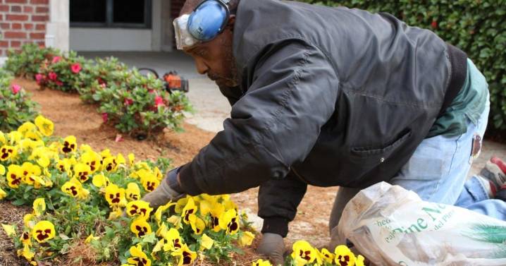 What to know about fall allergies in Louisiana