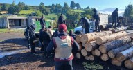 Autoridades refuerzan acciones contra la tala ilegal en el Bosque de Agua