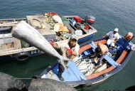 Pescadores en Matarani y Quilca levantaron bloqueo de carretera: no descartan retomar medidas