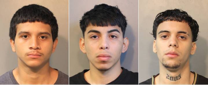 Three MS-13 members arrested in Nassau County for attempted murder and gang violence