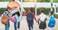 Piojos en la escuela: cómo proteger a los niños durante el regreso a clases