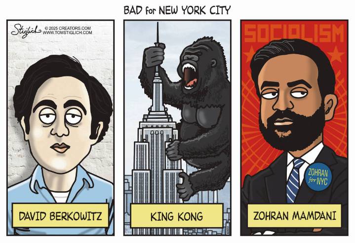 CARTOONS: Things that are bad for New York City