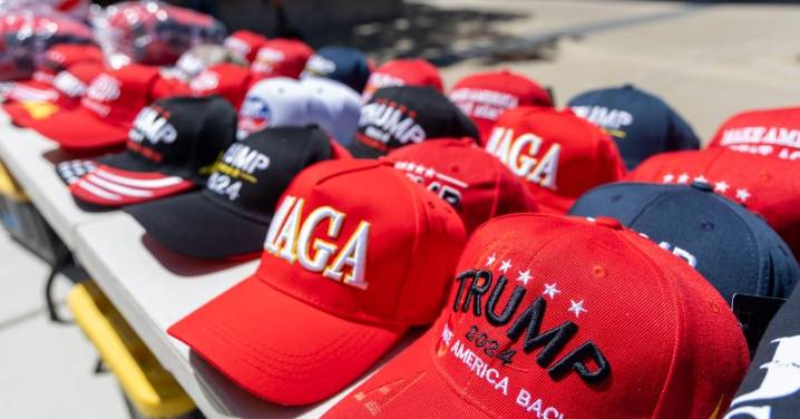 Trump threatens taxes, bans, for nations that tax Big Tech • The Register