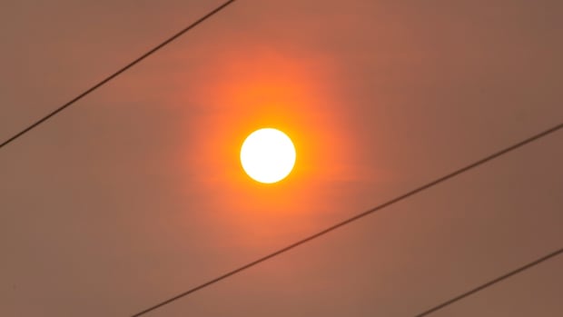 'We mean business': N.L. hikes fees and prison time for violating provincewide fire ban