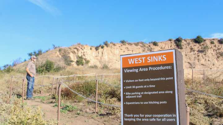 Free Things to Do Labor Day Weekend