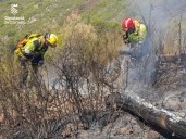 Estabilizado el incendio forestal de Artana