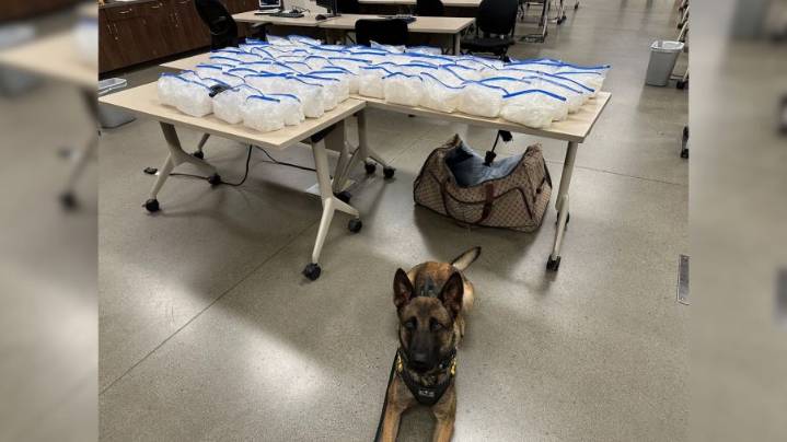 Massive drug bust uncovers more than 160 pounds of meth in Northern California
