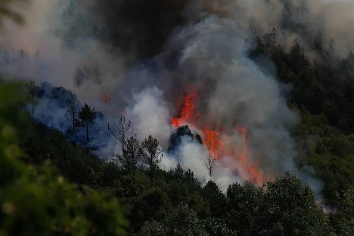 El Gobierno ve inextinguibles los incendios más virulentos: confía en las lluvias y la caída de temperaturas para recuperar el control