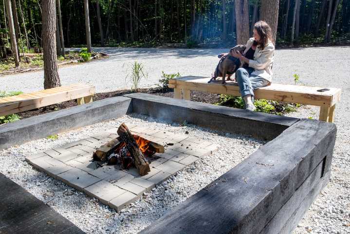 These 14 N.J. state parks campgrounds allow pets. See cost, rules, locations.