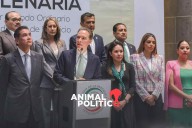 Partido Verde condiciona reducción de dinero a partidos sólo si el reparto es parejo