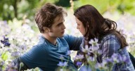 Twilight fans issue same plea as mystery update finally confirmed 