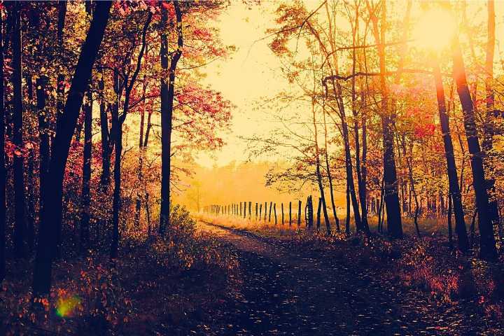 Funny Meme Sheds Light on a Good Point About Fall in Kentucky