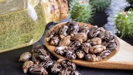 Los beneficios del aceite de ricino para tus pestañas: avalados por la ciencia y fáciles de aprovechar en casa